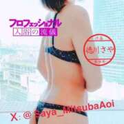 ヒメ日記 2025/06/22 14:21 投稿 徳川 さや 渋谷角海老