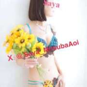 ヒメ日記 2025/08/21 13:50 投稿 徳川 さや 渋谷角海老