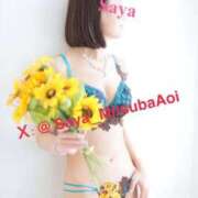 ヒメ日記 2025/09/09 13:50 投稿 徳川 さや 渋谷角海老