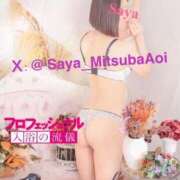 ヒメ日記 2025/09/11 13:30 投稿 徳川 さや 渋谷角海老