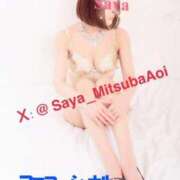 ヒメ日記 2025/10/29 12:20 投稿 徳川 さや 渋谷角海老