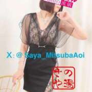 ヒメ日記 2025/10/29 14:20 投稿 徳川 さや 渋谷角海老