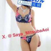 ヒメ日記 2025/11/05 14:20 投稿 徳川 さや 渋谷角海老