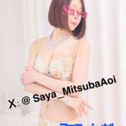 ヒメ日記 2025/11/13 08:20 投稿 徳川 さや 渋谷角海老