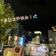 ヒメ日記 2025/11/18 21:20 投稿 徳川 さや 渋谷角海老