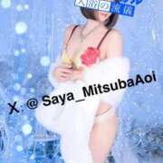 ヒメ日記 2025/11/29 21:00 投稿 徳川 さや 渋谷角海老