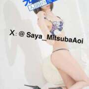 ヒメ日記 2025/11/30 12:20 投稿 徳川 さや 渋谷角海老