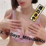 ヒメ日記 2025/12/01 18:20 投稿 徳川 さや 渋谷角海老