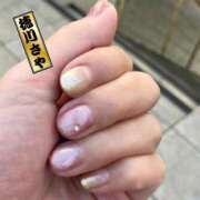 ヒメ日記 2025/12/15 12:50 投稿 徳川 さや 渋谷角海老