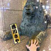 ヒメ日記 2025/12/17 12:20 投稿 徳川 さや 渋谷角海老