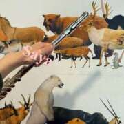 ヒメ日記 2026/01/22 12:23 投稿 徳川 さや 渋谷角海老