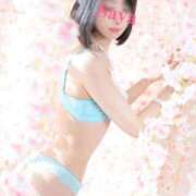 ヒメ日記 2026/03/25 12:20 投稿 徳川 さや 渋谷角海老