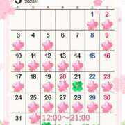 ヒメ日記 2025/03/04 09:58 投稿 安達みゆ プレジデントクラブ