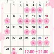 ヒメ日記 2025/03/31 00:24 投稿 安達みゆ プレジデントクラブ