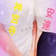 ヒメ日記 2025/12/05 09:13 投稿 安達みゆ プレジデントクラブ