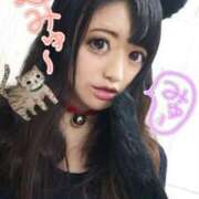 安達みゆ 今日、2/22は【猫の日】(＊≧艸≦*)♪ プレジデントクラブ