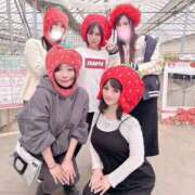 ヒメ日記 2026/03/22 11:00 投稿 安達みゆ プレジデントクラブ