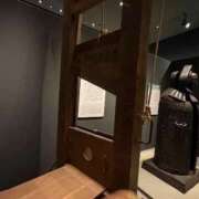 ヒメ日記 2025/11/30 12:51 投稿 まひろ ニューグランド