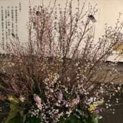 ヒメ日記 2026/01/30 15:04 投稿 まひろ ニューグランド