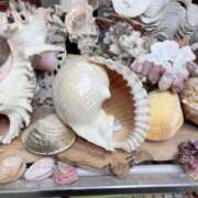 ヒメ日記 2026/04/21 15:05 投稿 まひろ ニューグランド