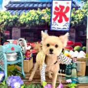 ヒメ日記 2025/08/07 11:14 投稿 アヤメ AMOUR（アムール）