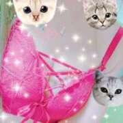 ヒメ日記 2025/05/24 13:43 投稿 しえる ぷるるん小町梅田店