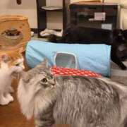 ヒメ日記 2025/10/24 20:15 投稿 しえる ぷるるん小町梅田店