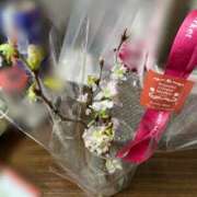 ヒメ日記 2026/02/14 17:33 投稿 しえる ぷるるん小町梅田店