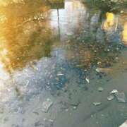 ヒメ日記 2025/01/03 01:08 投稿 いろは One More奥様　厚木店