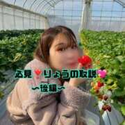 ヒメ日記 2025/04/04 19:30 投稿 りょう CECIL