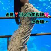 ヒメ日記 2025/04/12 23:37 投稿 りょう CECIL