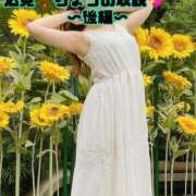 ヒメ日記 2025/04/29 00:16 投稿 りょう CECIL