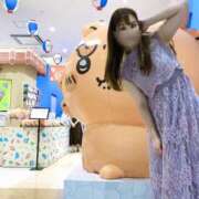 ヒメ日記 2025/07/26 20:23 投稿 りょう CECIL