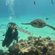 ヒメ日記 2025/09/12 18:30 投稿 りょう CECIL