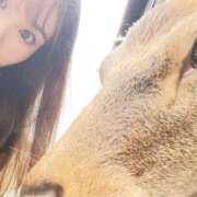 ヒメ日記 2025/10/16 19:22 投稿 りょう CECIL