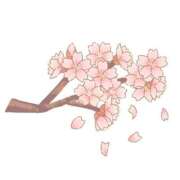 ヒメ日記 2025/11/11 11:00 投稿 りょう CECIL