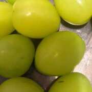 ヒメ日記 2025/08/21 04:42 投稿 片桐あすか 東京エステコレクション 新橋・銀座