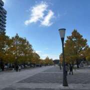 ヒメ日記 2025/11/20 19:57 投稿 片桐あすか 東京エステコレクション 新橋・銀座