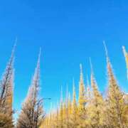 ヒメ日記 2025/12/02 10:02 投稿 片桐あすか 東京エステコレクション 新橋・銀座