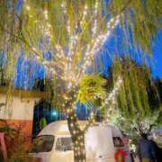 ヒメ日記 2025/12/04 10:01 投稿 片桐あすか 東京エステコレクション 新橋・銀座