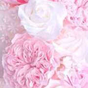 ヒメ日記 2024/12/14 01:44 投稿 いずみ シャングリラ