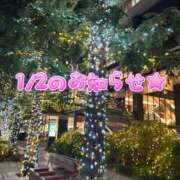 ヒメ日記 2024/12/31 08:36 投稿 いずみ シャングリラ