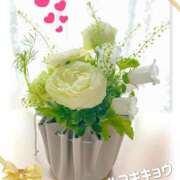 ヒメ日記 2025/02/02 20:56 投稿 いずみ シャングリラ