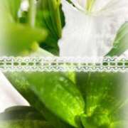 ヒメ日記 2025/04/14 00:00 投稿 いずみ シャングリラ