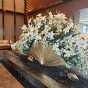 ヒメ日記 2025/07/31 10:09 投稿 いずみ シャングリラ