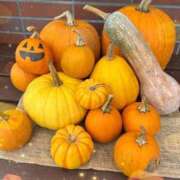 ヒメ日記 2025/10/10 13:57 投稿 いずみ シャングリラ