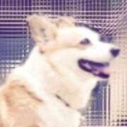 ヒメ日記 2026/02/06 07:27 投稿 いずみ シャングリラ