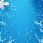 ヒメ日記 2026/02/24 11:06 投稿 いずみ シャングリラ