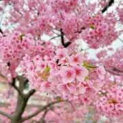 ヒメ日記 2026/02/27 15:33 投稿 いずみ シャングリラ