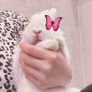 ヒメ日記 2026/03/06 10:52 投稿 いずみ シャングリラ